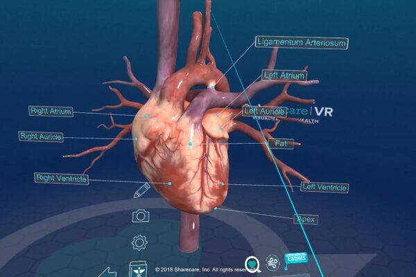 Virtual reality now available in UniZiegler