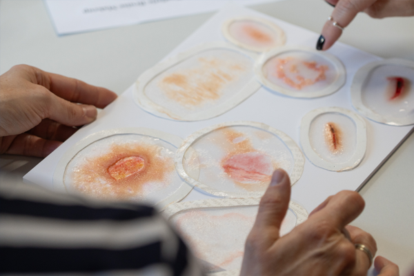 IMEX-Netzwerk: Besuch am IML Bern